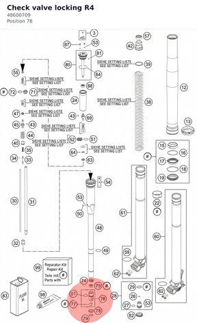 Diagram preview: Check valve locking R4 (48600709)