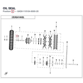 OIL SEAL product image