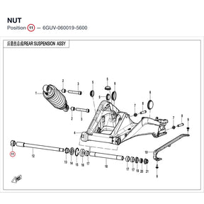 NUT product image