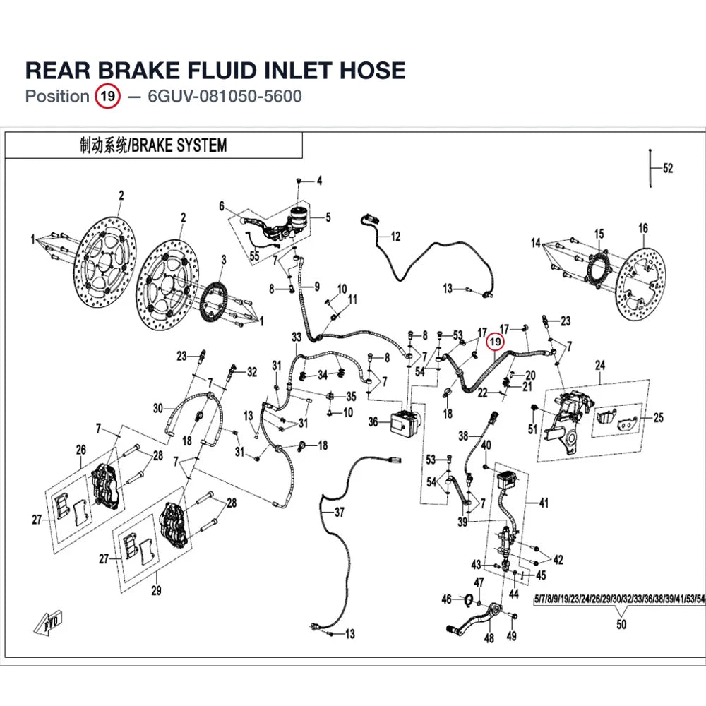 REAR BRAKE FLUID INLET HOSE product image