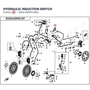 HYDRAULIC INDUCTION SWITCH product image