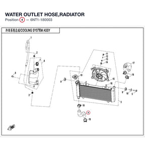 WATER OUTLET HOSE,RADIATOR product image