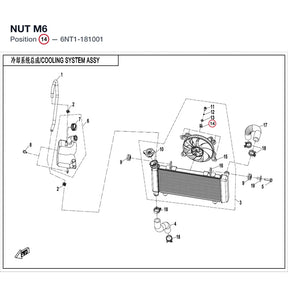 NUT M6 product image