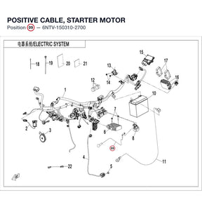 POSITIVE CABLE, STARTER MOTOR product image