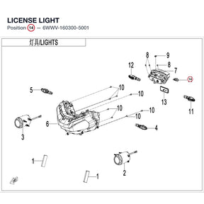 LICENSE LIGHT product image