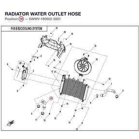 RADIATOR WATER OUTLET HOSE product image