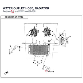 WATER OUTLET HOSE, RADIATOR product image