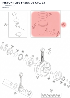 Diagram preview: PISTON I 250 FREERIDE CPL. 14 (72530007000 I)