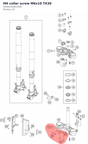 Diagram preview: HH collar screw M6x10 TX30 (C0000250601000)