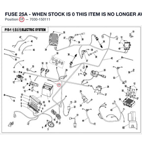 FUSE 25A - WHEN STOCK IS 0 THIS ITEM IS NO LONGER AVAILABLE product image