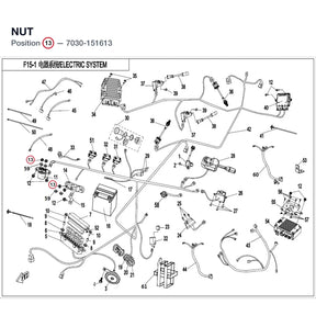 NUT product image