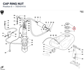 CAP RING NUT