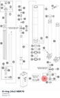 Diagram preview: O-ring 24x2 NBR70 (35480320)