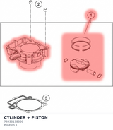 Diagram preview: CYLINDER + PISTON (79230138000)