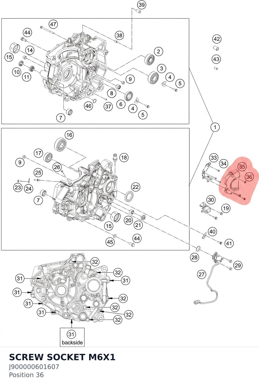 Diagram preview: SCREW SOCKET M6X1 (J900000601607)