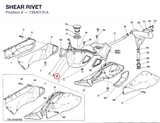 SHEAR RIVET
