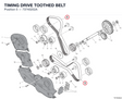 TIMING DRIVE TOOTHED BELT 73740252A diagram position