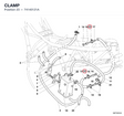CLAMP
