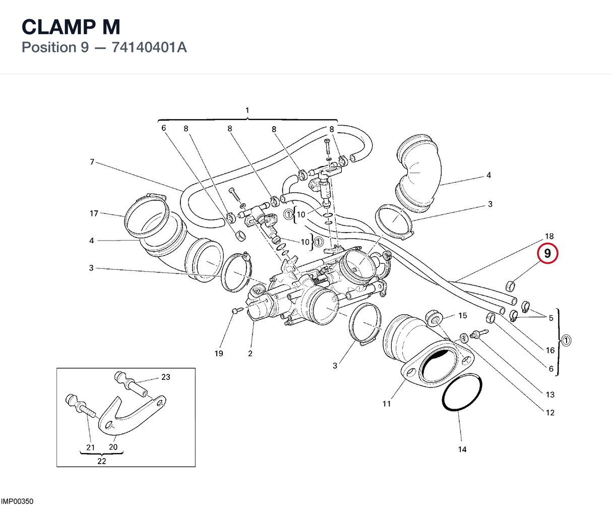 CLAMP M