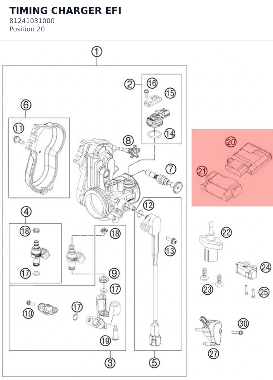 Diagram preview: TIMING CHARGER EFI (81241031000)