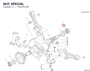 NUT, SPECIAL 75010121D diagram position