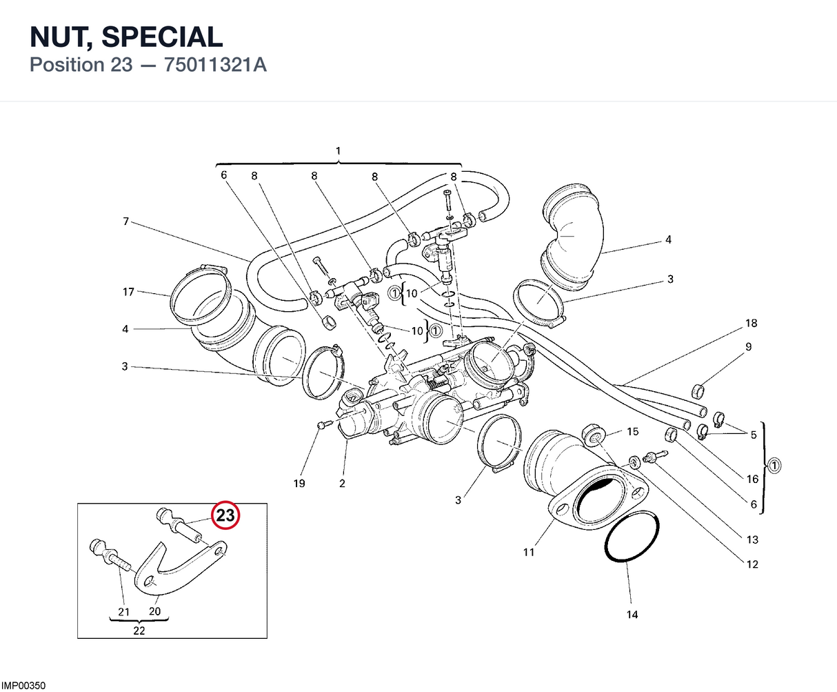NUT, SPECIAL