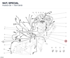 NUT, SPECIAL 75011381B diagram position