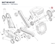 NUT M14X1X7 75011601A diagram position