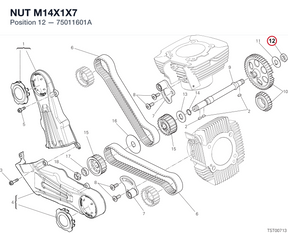 NUT M14X1X7 75011601A diagram position