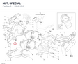 NUT, SPECIAL