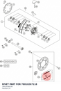 Diagram preview: RIVET PART FOR 78010267118 (78010266100)