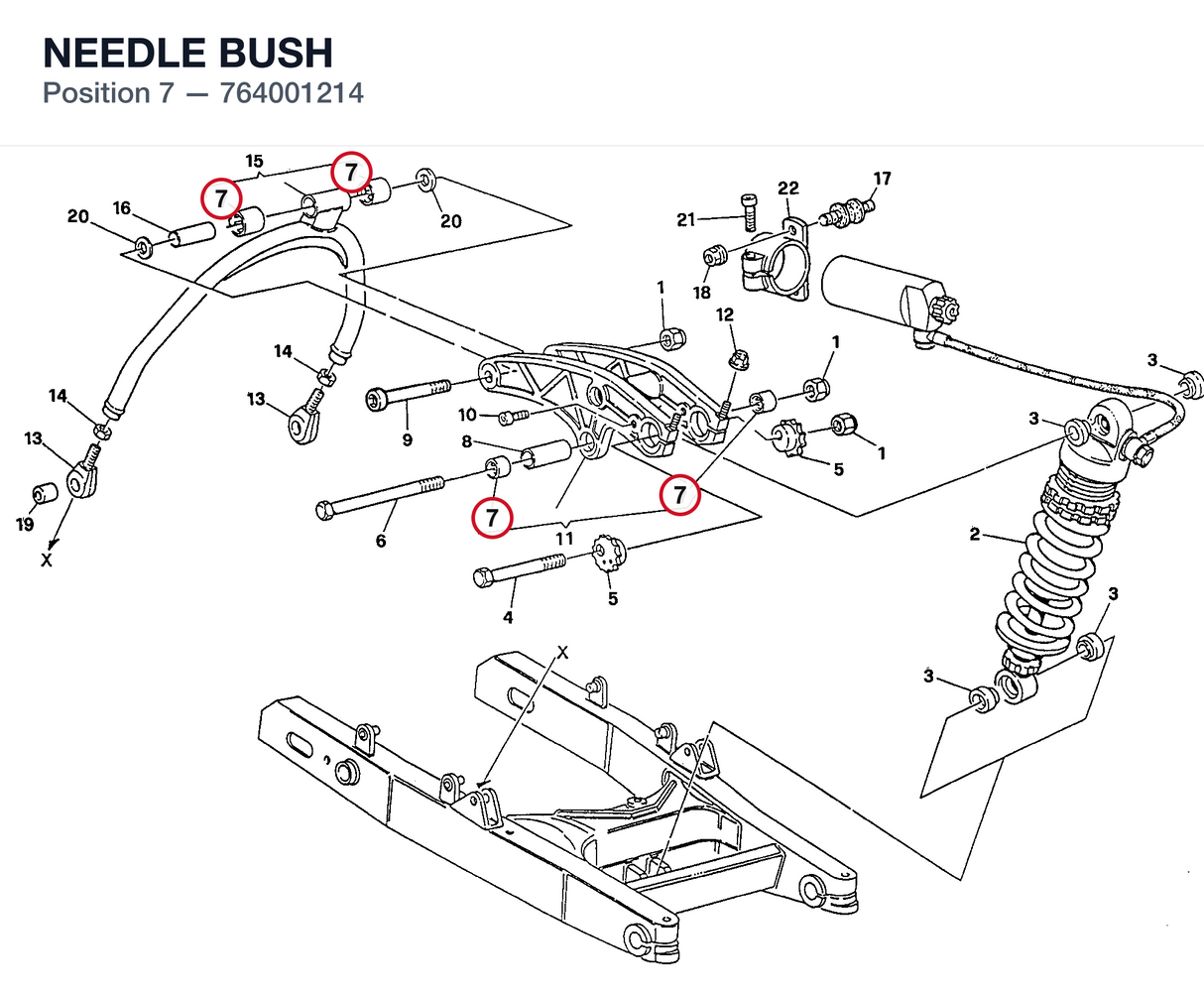 NEEDLE BUSH