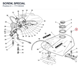 SCREW, SPECIAL