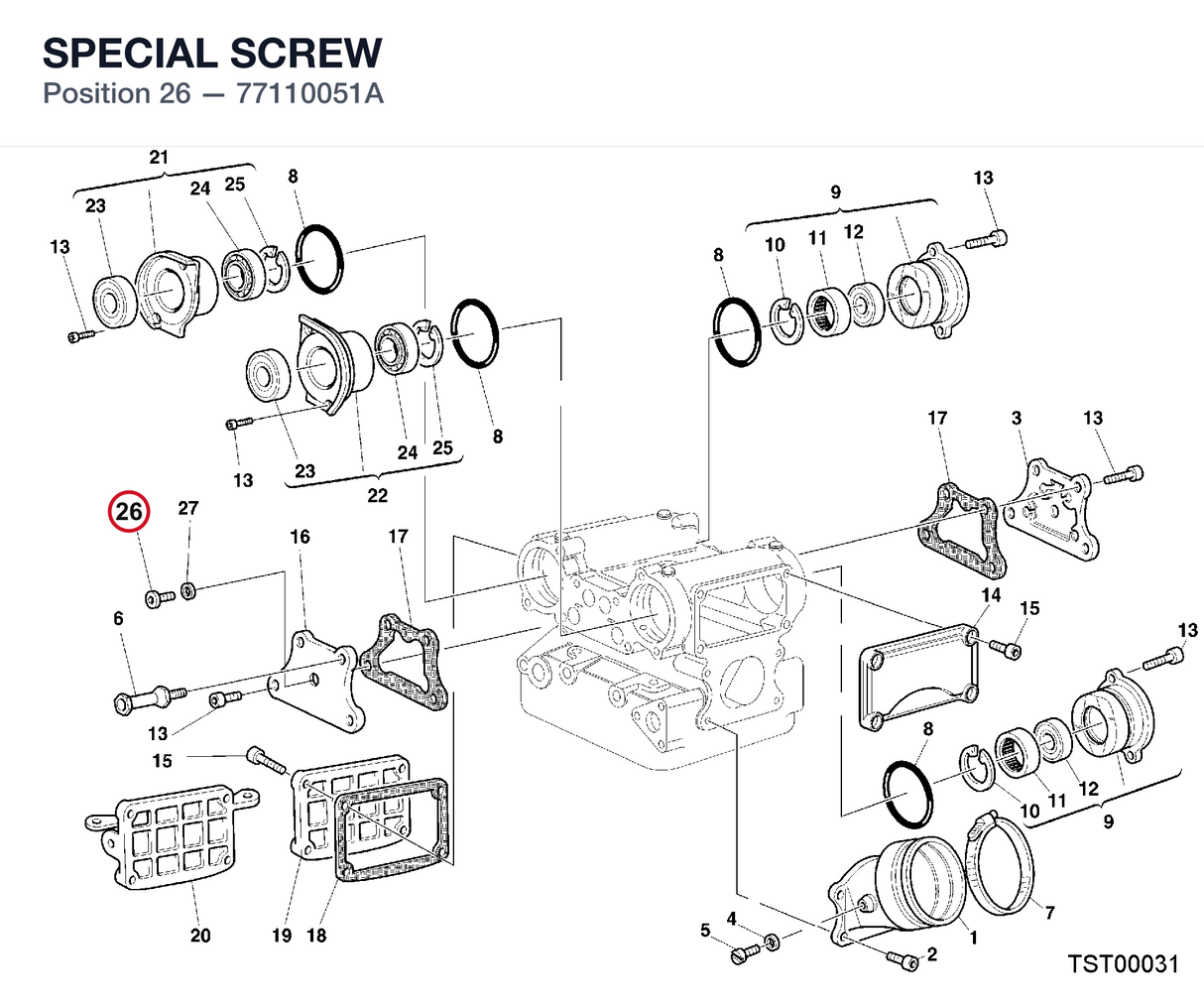 SPECIAL SCREW