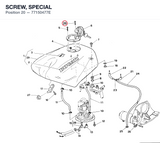 SCREW, SPECIAL
