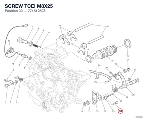 SCREW TCEI M8X25 77151250Z diagram position