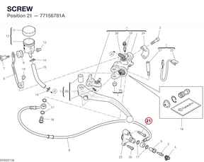 SCREW 77156781A diagram position