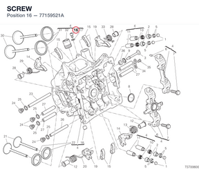 SCREW 77159521A diagram position