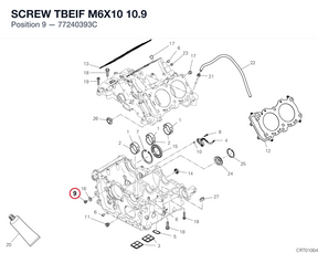 SCREW TBEIF M6X10 10.9 77240393C diagram position