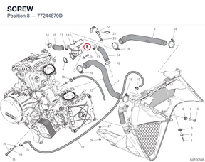 SCREW 77244679D diagram position