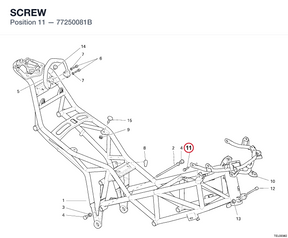 SCREW 77250081B diagram position