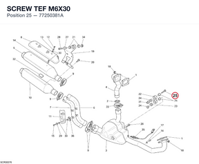 SCREW TEF M6X30 77250381A diagram position