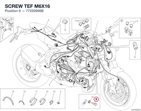 SCREW TEF M6X16 77250998B diagram position