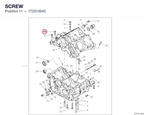 SCREW 77251364C diagram position