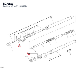 SCREW 77251378B diagram position
