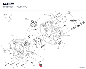 SCREW 77251387C diagram position