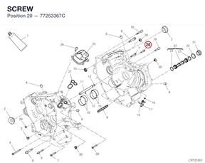 SCREW 77253367C diagram position