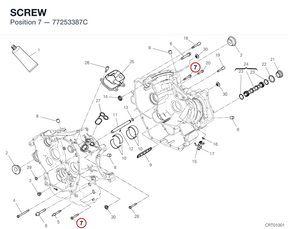 SCREW 77253387C diagram position
