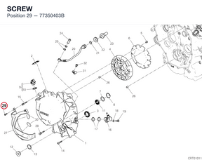 SCREW 77350403B diagram position