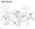 SCREW TBEI 5X25 77510131A diagram position